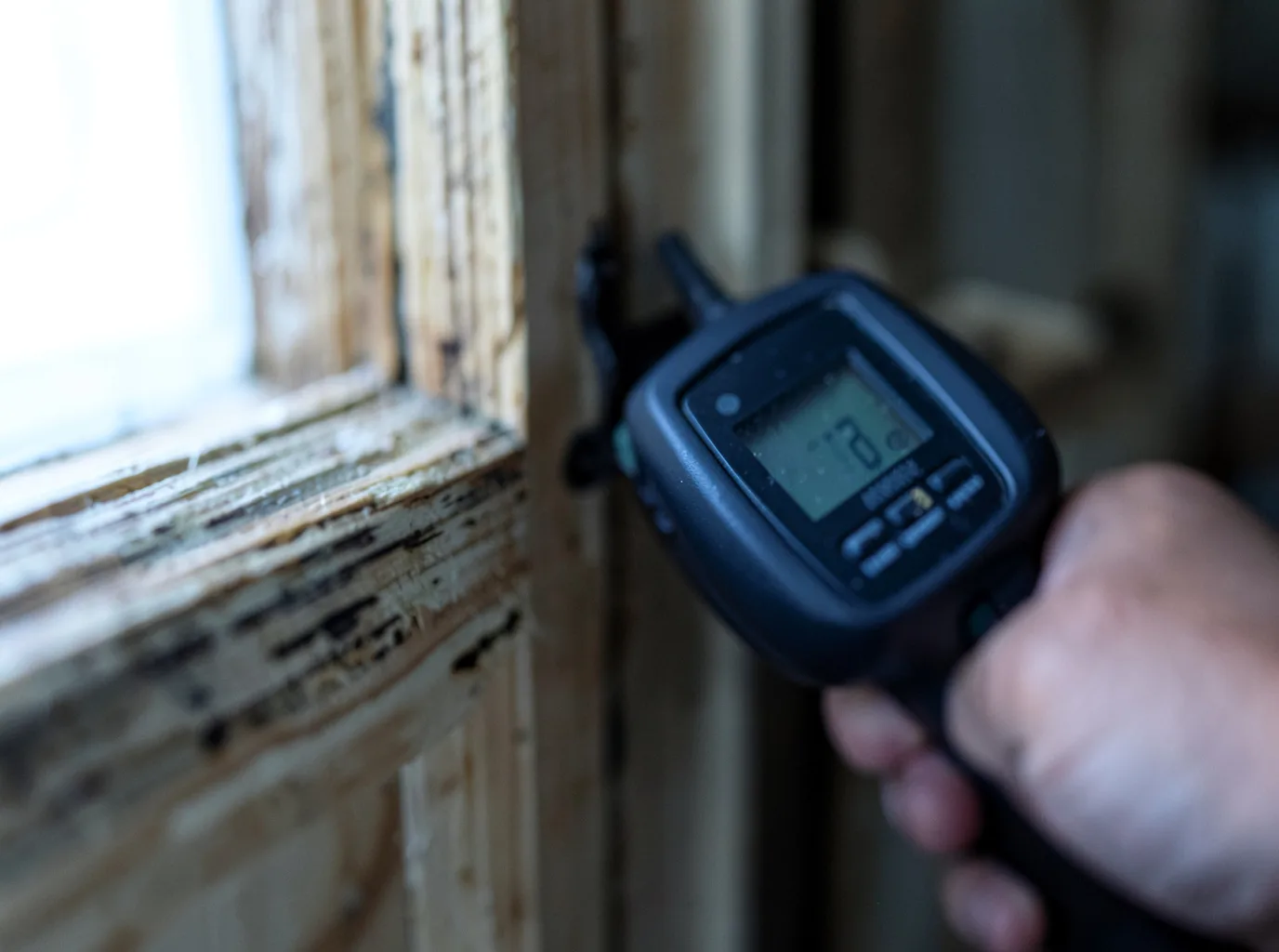 Moisture Inspection And Documentation in Belvidere Center, VT